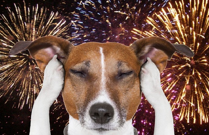 nova lei entra em vigor em 2026