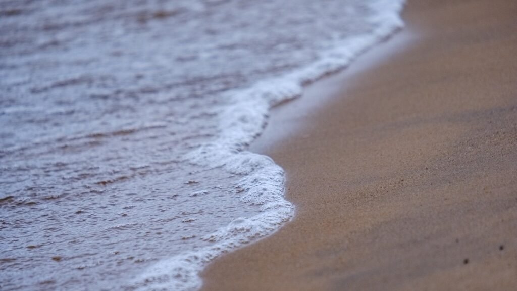 Por que algumas praias estão impróprias para banho e como se proteger