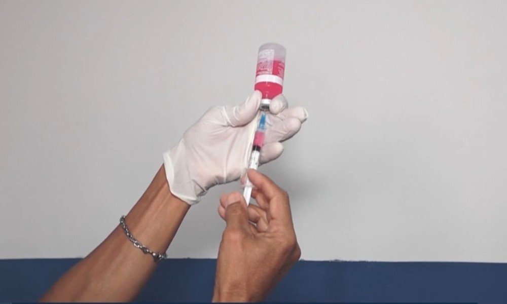 Filhote com raiva em Salvador teve doença descartada. Veja ultimas atualizações aqui.