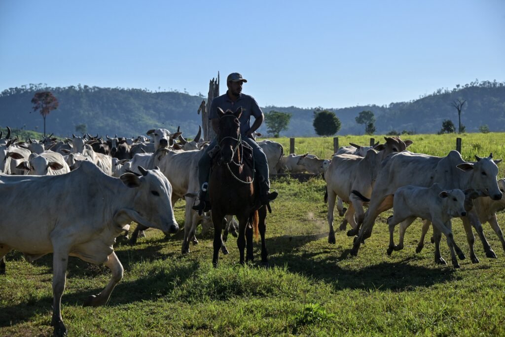 Acordo UE-Mercosul: Parlamento Europeu aprova medidas de proteção mais rígidas para o agro