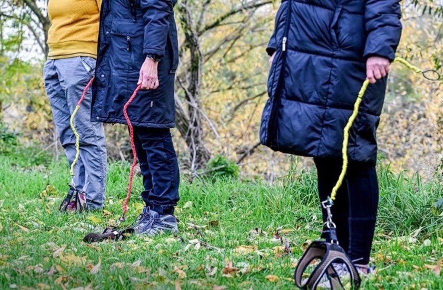 nova tendência na Alemanha de passear com 'cães invisíveis' gera comentários na internet e divide opiniões. Veja essa prática!