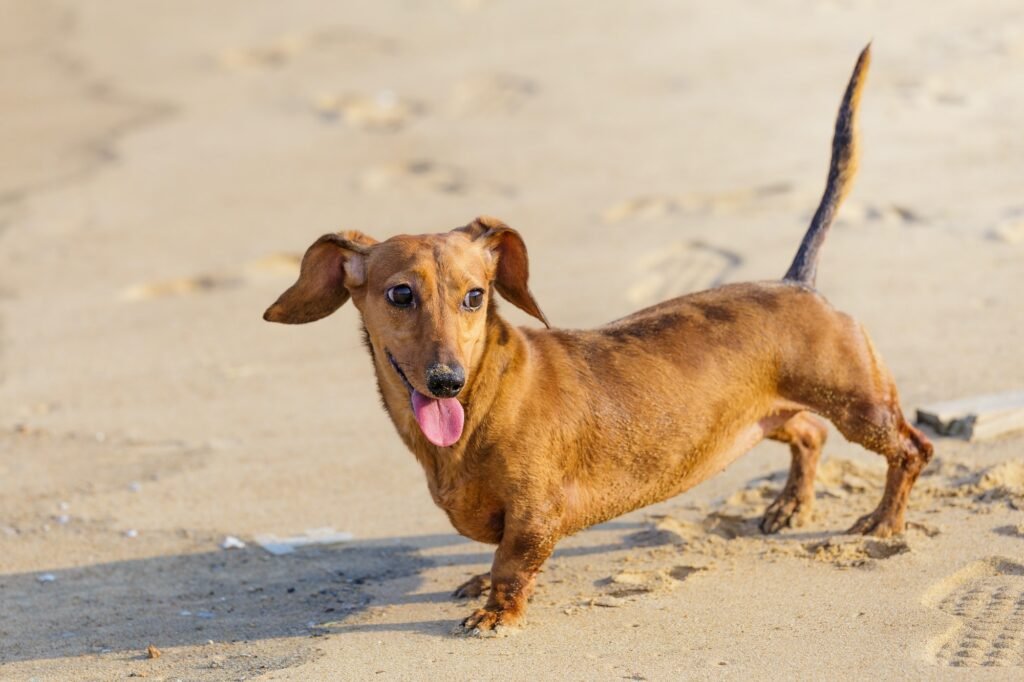 professora da Unesp alerta sobre exposição excessiva ao sol. Veja!
