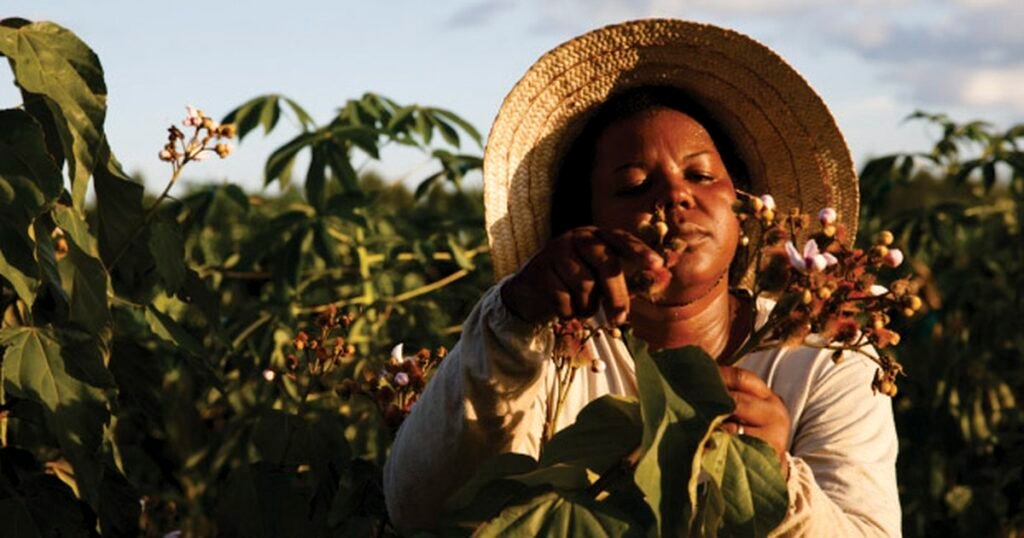 G1 - Fibria lança em Vitória exposição multimídia que une fotos e vídeos em 360º de realidade virtual