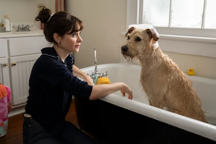 Zooey Deschanel revela os bastidores de atuar com um cachorro no cinema. Veja aqui!