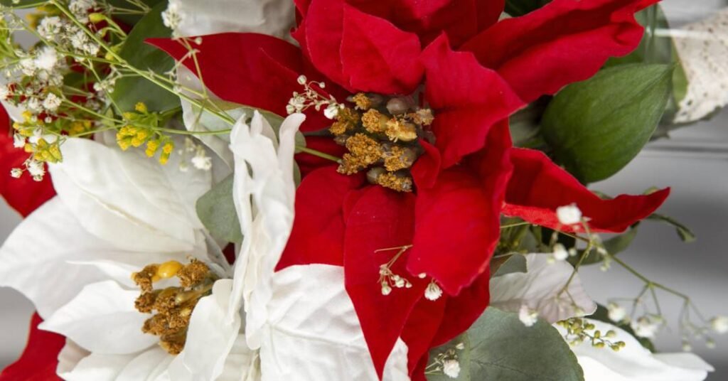 Plantas de Natal: como incorporar espécies naturais na mesa posta de fim ano