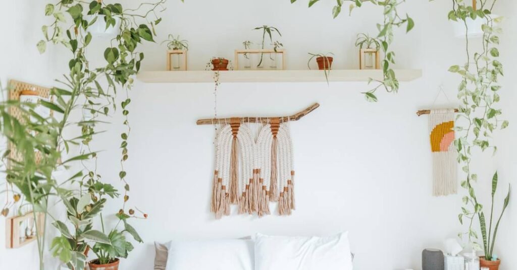 Plantas e flores para decoração boho: crie seu oásis natural