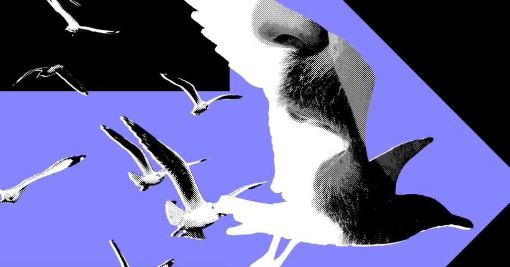 Os influenciadores políticos mais poderosos mal postam sobre política