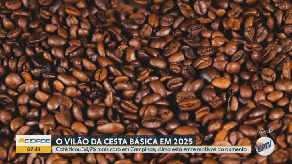 Café: USP analisa como mercado interno reage após abrir 2026 com negociações restritas