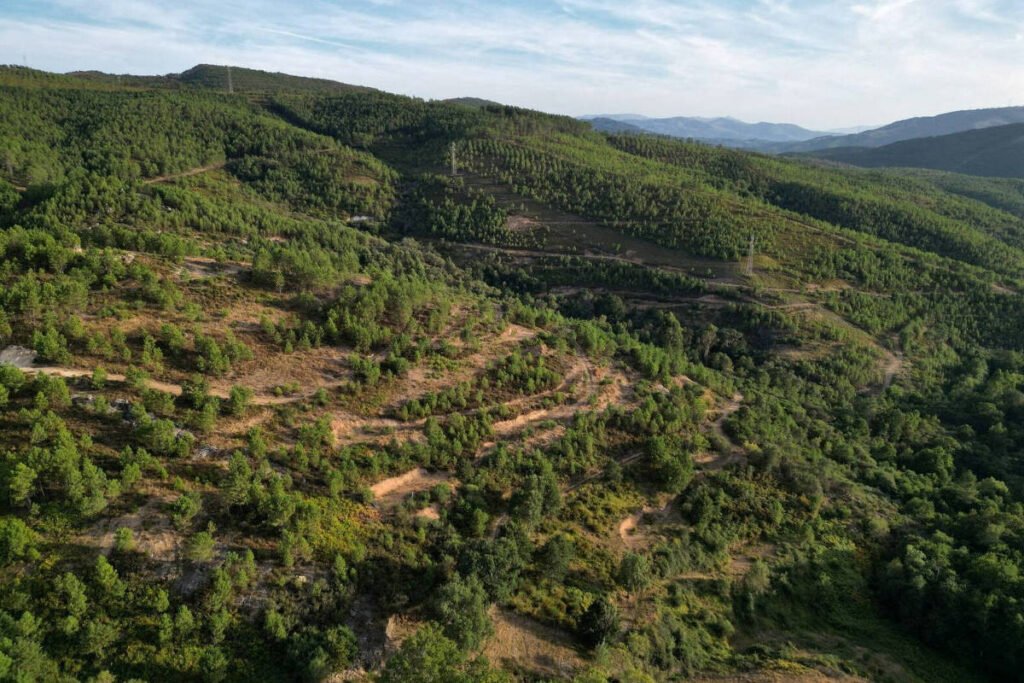 Lítio: Disputa sobre mineração causa divisão em Portugal - 30/01/2026 - Economia