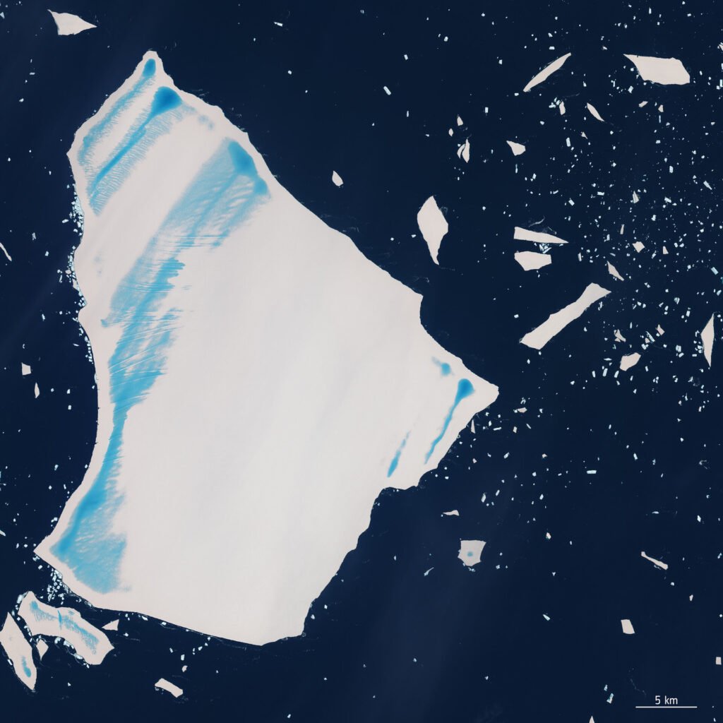 Semana em imagens: 12 a 16 de janeiro de 2026