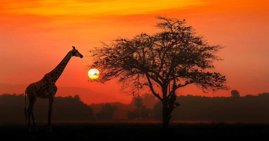 passagens para a África do Sul por R$ 2.827 ida e volta