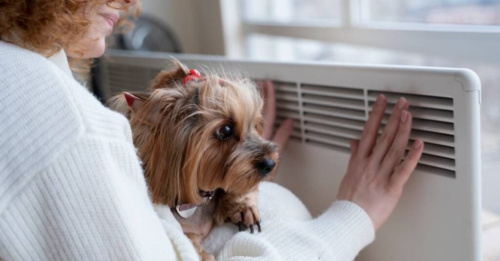 Como se proteger do calor extremo: 7 dicas essenciais para sua saúde