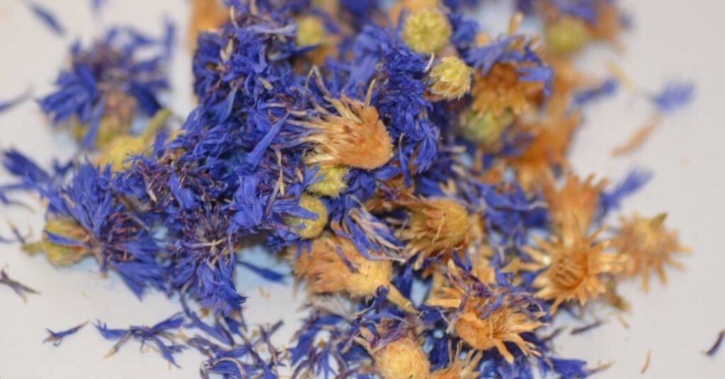 Casa cheirosa: receitas caseiras simples para perfumar o ambiente naturalmente