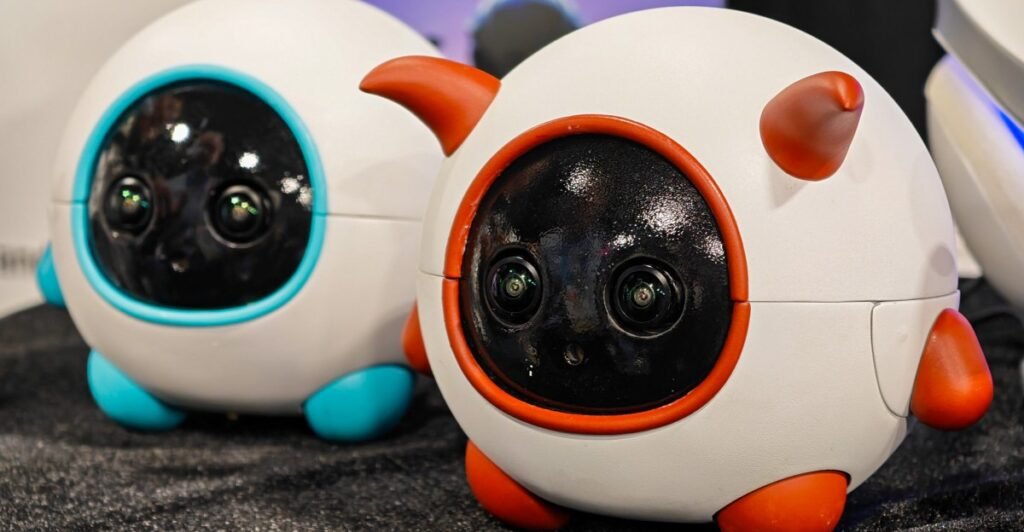 Este companheiro robô é o cinegrafista do seu animal de estimação