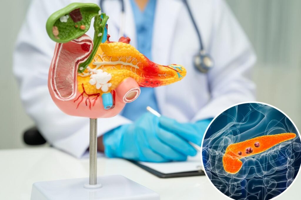 Avanço do câncer de pâncreas: tumores desaparecem em ratos