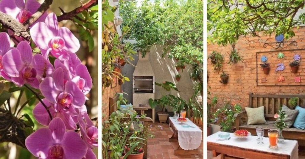 Jardim mediterrâneo: como criar o seu com as plantas certas