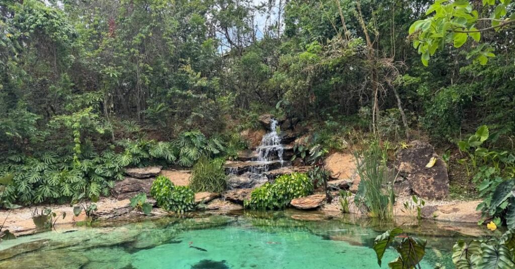 Você pode ter um lago em casa!