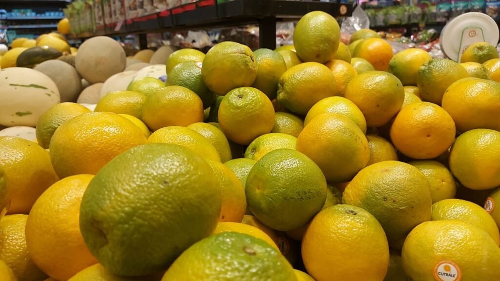 Laranja: chuvas derrubam qualidade das frutas e esfriam mercado paulista em janeiro, analisa USP