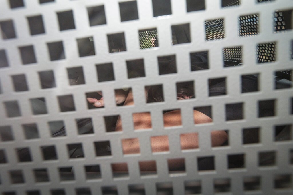 PF: Sócia de Zettel pagava membros de grupo de Vorcaro - 04/03/2026 - Economia