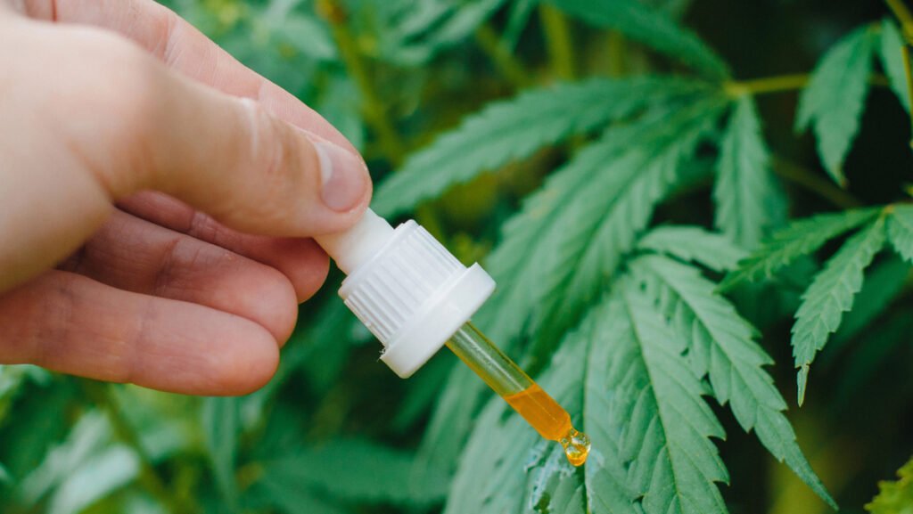 Canabinoides: faltam evidências para o uso no tratamento de transtornos mentais