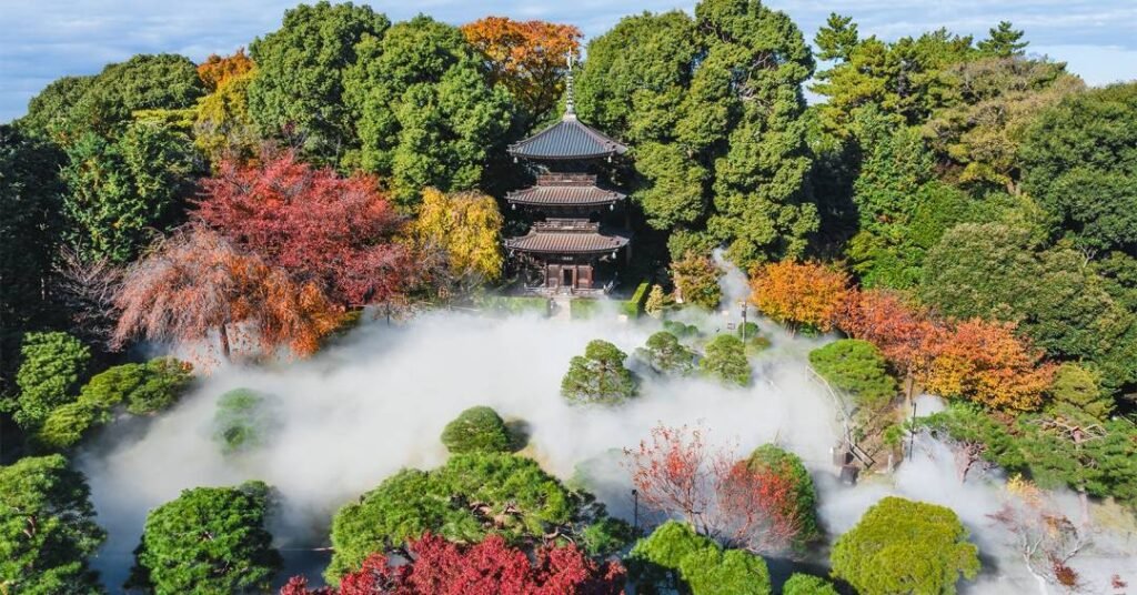 Hotel em Tokyo tem jardim histórico de 700 anos e experiência Shinrin Yoku, o banho de floresta