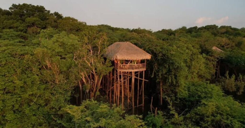 Impressionante! Hotel na Amazônia tem bangalôs sobre o Rio!