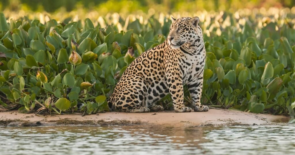 9 destinos perfeitos para visitar na estação!