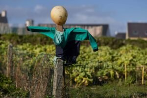 Os espantalhos no debate sobre política econômica - 11/04/2026 - Marcos Lisboa