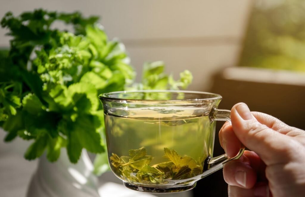 Quer trocar o café? 3 chás que dão energia e disposição pela manhã