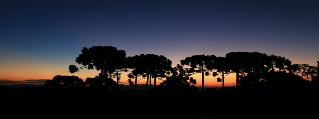 Campos do Jordão! Guia completo para planejar sua viagem!