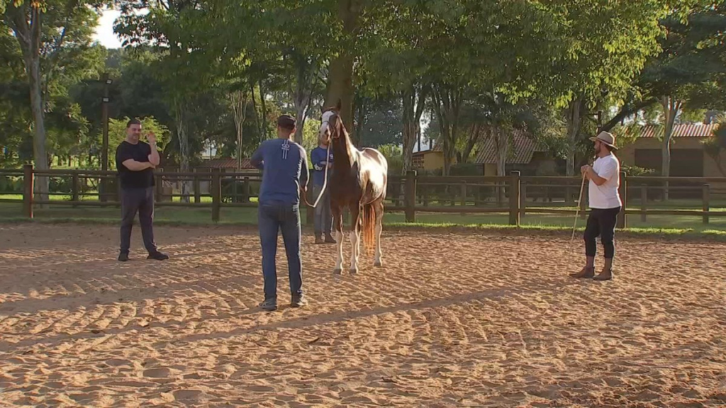 Expo Agro Itapetininga 2026: tradição, histórias e negócios