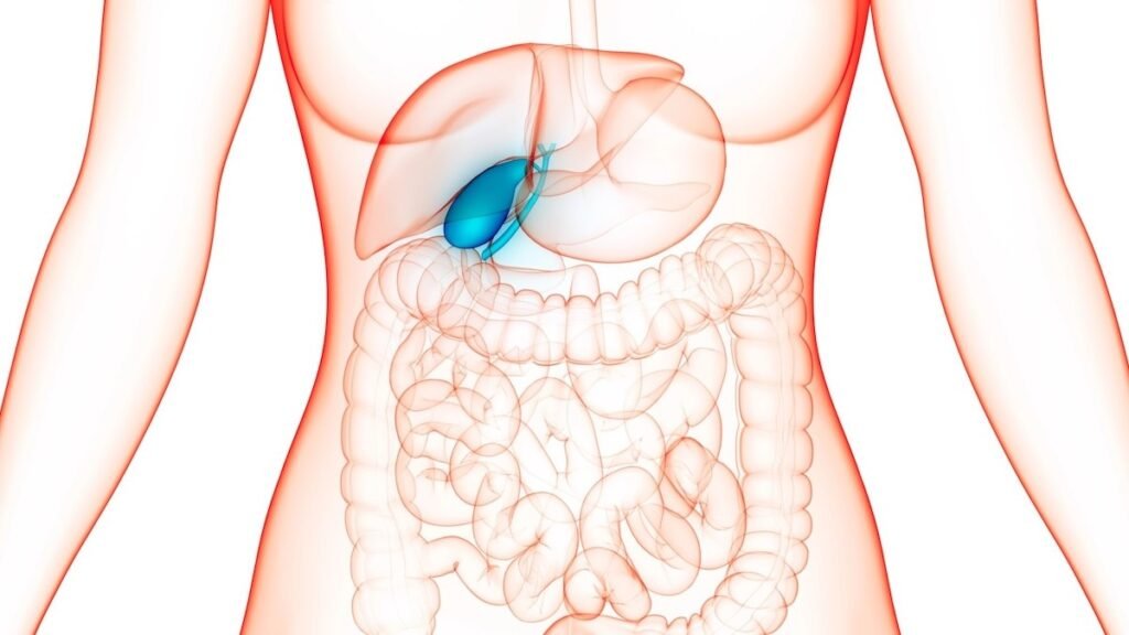 Colecistectomia: como funciona a cirurgia para retirada da vesícula