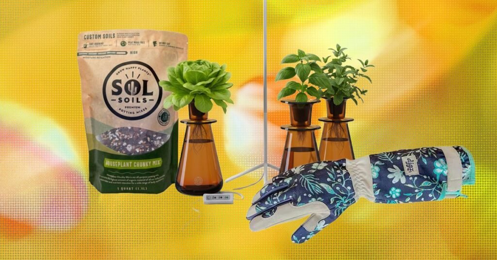 15 melhores presentes para amantes de plantas e jardineiros (2026)