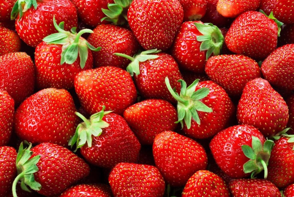 Janta em 15 minutos? 7 receitas para quando a fome aperta