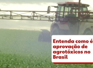 MPT pede que Brasil proíba uso do glifosato, agrotóxico mais vendido no mundo