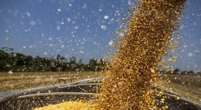 Reforma tributária levará à divergência de preços no agro - 12/01/2026 - Painel S.A.