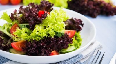 dicas para as folhas durarem mais