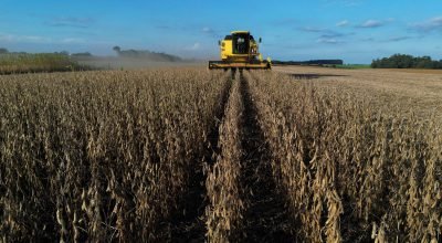 Com preços em queda, valor de produção brasileira cai neste ano - 18/02/2026 - Vaivém