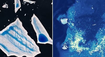 Enfermo "Megaberg" desencadeia uma onda de vida microscópica