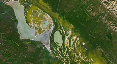 Uma linha de falha em plena floração