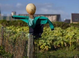 Os espantalhos no debate sobre política econômica - 11/04/2026 - Marcos Lisboa
