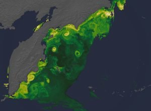 Novas visualizações da Terra pela NASA, do (S)PACE