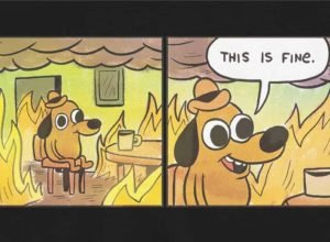 O PIB e o cão do meme do incêndio - 29/05/2026 - Vinicius Torres Freire
