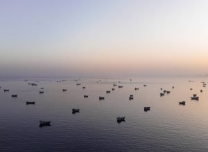 Petróleo: aumento de preços pode destruir demanda - 07/06/2026 - Economia