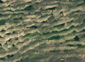 Domínio amplo e contínuo de Nebraska - NASA Science