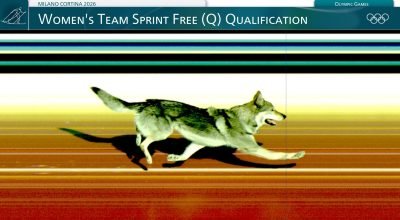 Cão invade pista, confunde sensor e altera resultado do Brasil