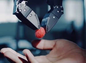 Quando os robôs tiverem seu momento ChatGPT, lembre-se dessas pinças