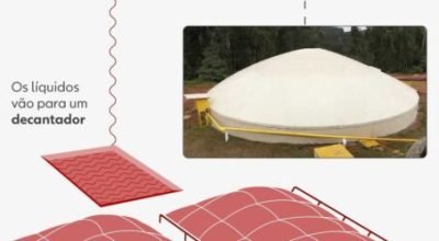 Cocô e xixi de porcos podem virar água potável (e até mesmo cerveja) com sistema de tratamento; entenda