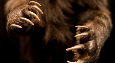 Bitcoin cai abaixo de US$ 67.000, devolvendo rapidamente os ganhos de quarta-feira