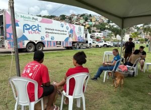 Serviços gratuitos para cães e gatos chega a Cachoeiro de Itapemirim